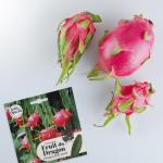 Radis et Capucine - Fruit du Dragon à semer - MEDIA_EN_SITUATION_1